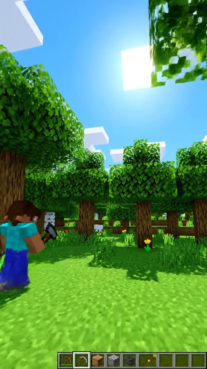 Minecraft Blocky Landscape Exploration