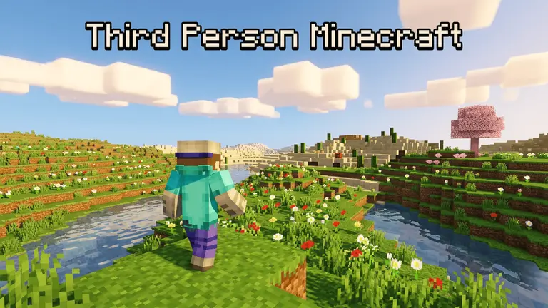 Third Person Minecraft