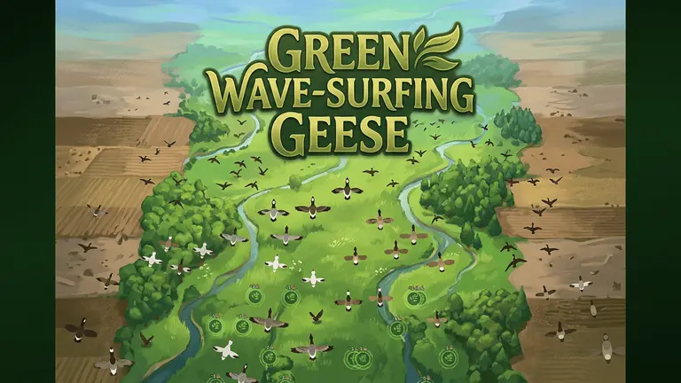 Green Wave-Surfing Geese