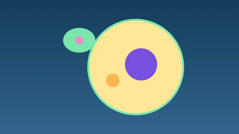 Cells: Prokaryotic and Eukaryotic