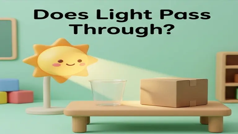 Does Light Pass Through?
