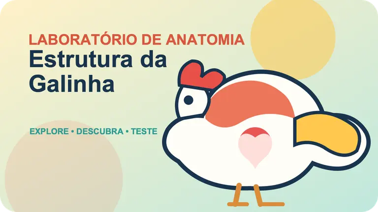 Chicken Anatomy